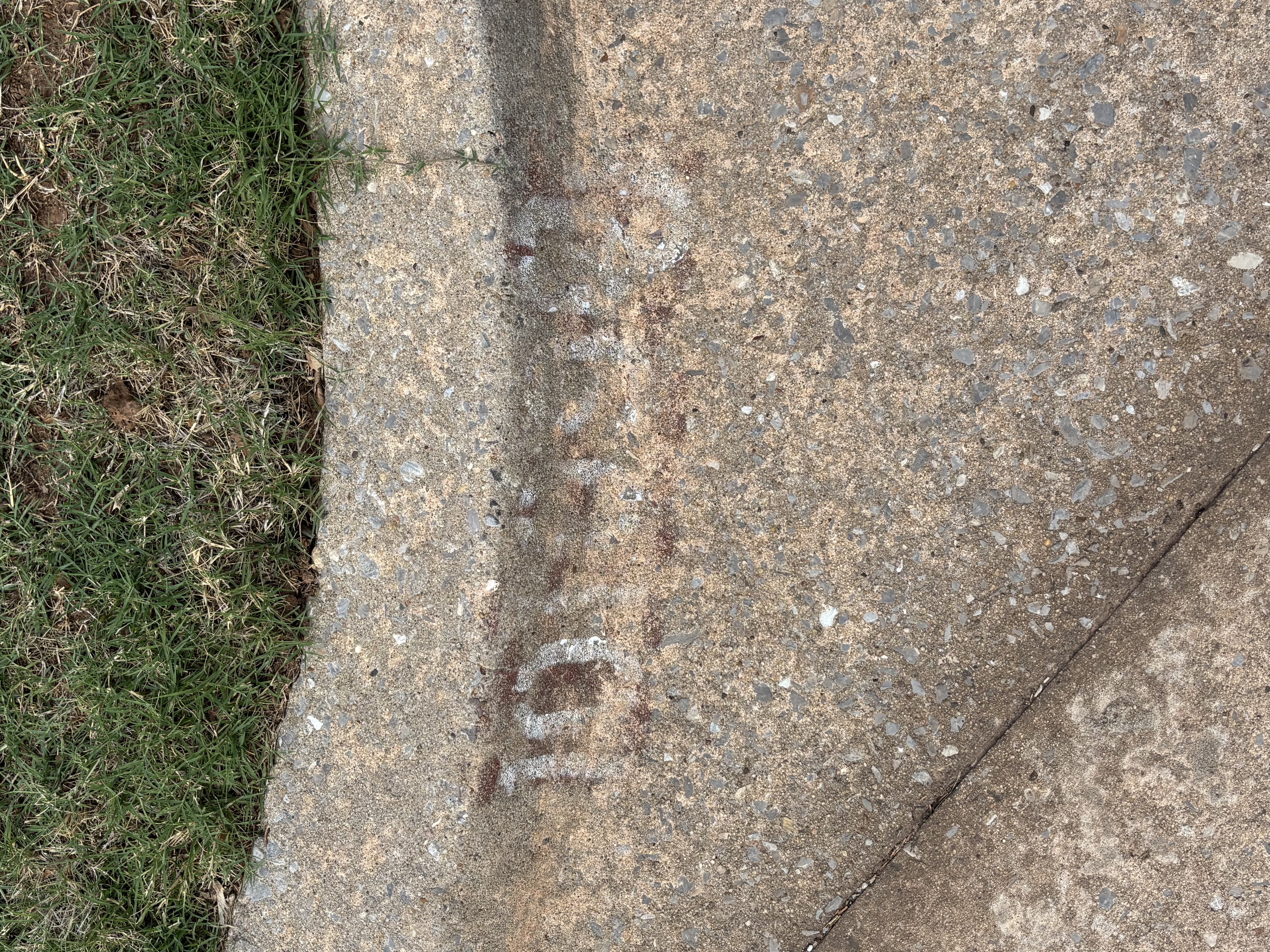Worn curb before painting